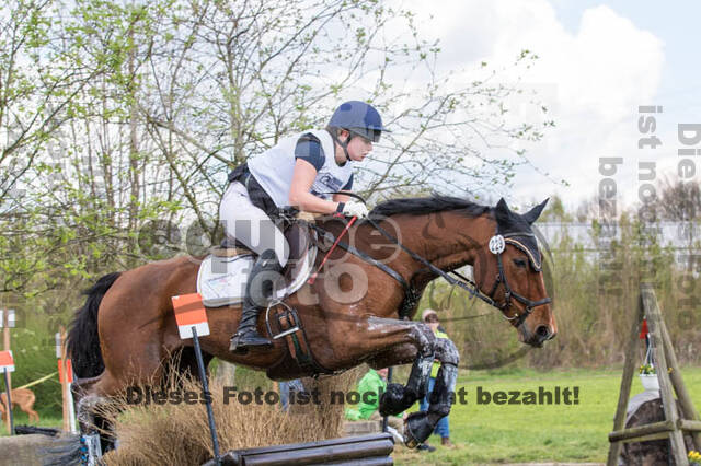 Vielseitigkeitsturnier RV Lippe-Bruch-Gahlen