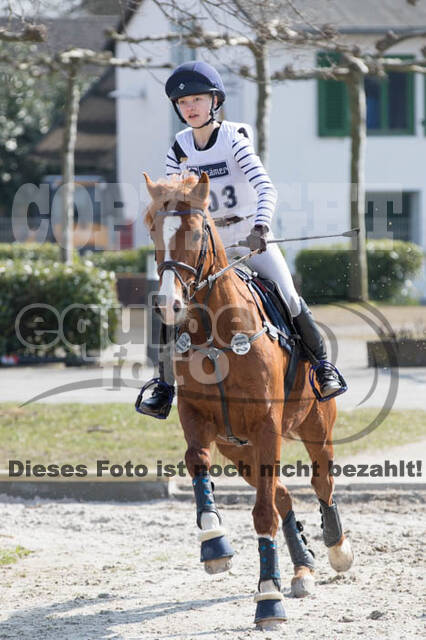 Eventing Langenfeld