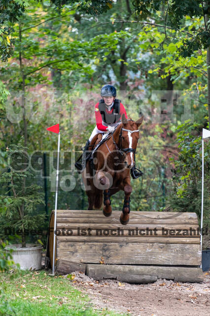 Goldene Schärpe 2020 - Pferde