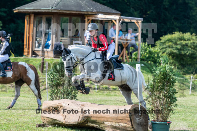 Goldene Schärpe 2021 - Ponys