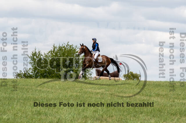 Bonn-Rodderberg Late-Entry-Vielseitigkeit (30.06.2020)