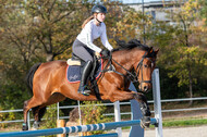 IGV Lehrgang der Sieger der Cups mit Frank Ostholt