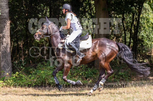 Late-Entry Vielseitigkeit Hamminkeln/Wesel (01.+02.08.2020)