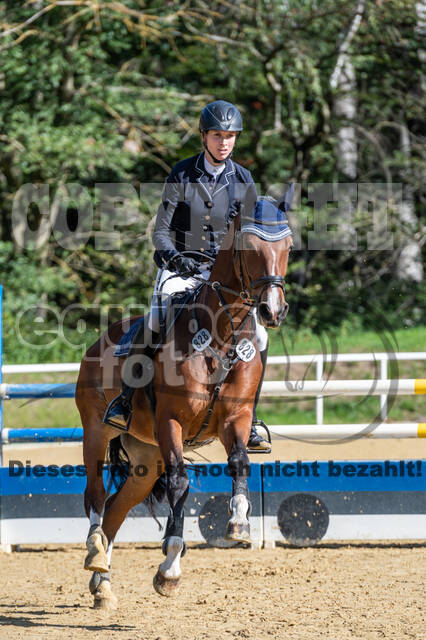 RFV Dinslaken-Hiesfeld (Herbstturnier)