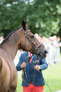 European Championship Eventing 2017