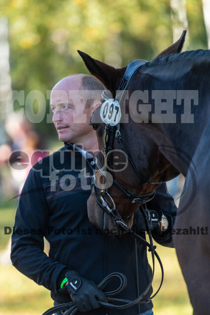 Deutsche Meisterschaft Vielseitigkeit (Luhmühlen)