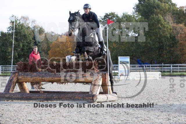 IGV Lehrgang der Sieger der Cups mit Frank Ostholt