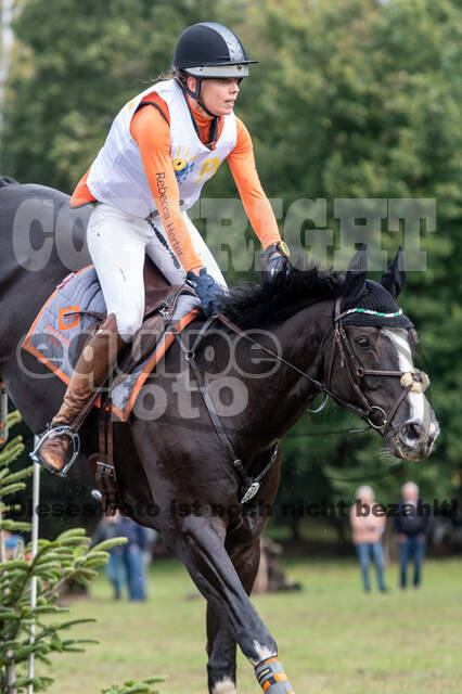 Vielseitigkeit RSV Wesel Obrighoven (26.+27.09.2020)