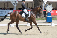 FEI European Championship Eventing 2017