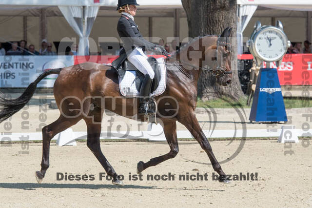 FEI European Championship Eventing 2017
