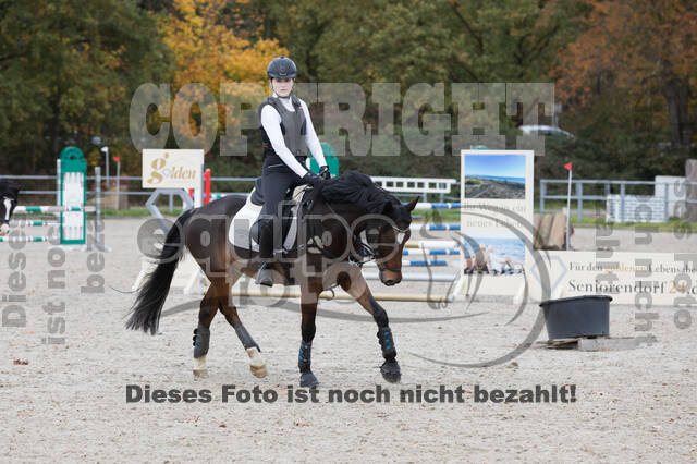 IGV Lehrgang der Sieger der Cups mit Frank Ostholt