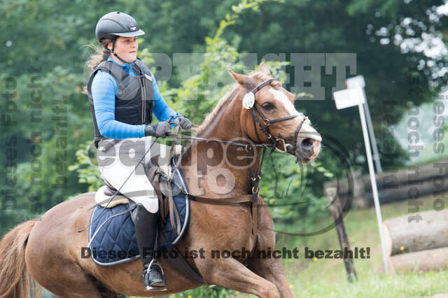 RFV Bad Honnef