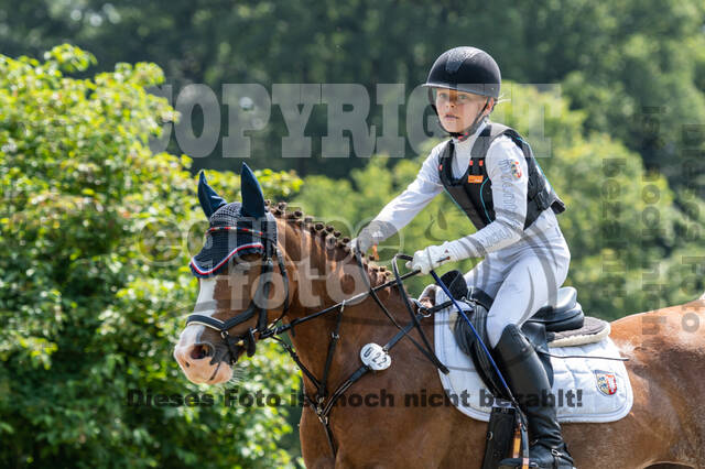 Goldene Schärpe 2021 - Ponys