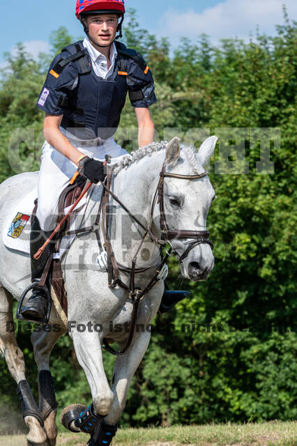 Goldene Schärpe 2021 - Ponys