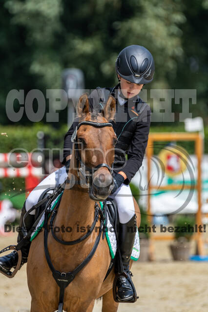 Goldene Schärpe 2021 - Ponys
