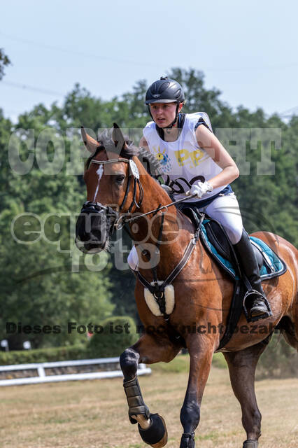 Late-Entry Vielseitigkeit Hamminkeln/Wesel (01.+02.08.2020)