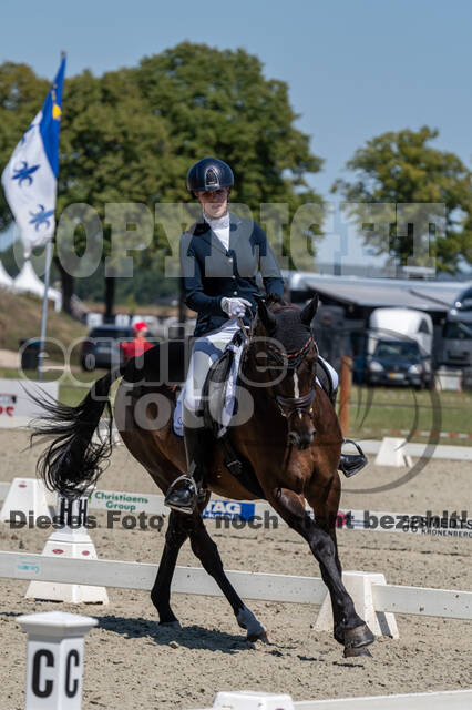 Kronenberg - De Peelbergen (August 2020)