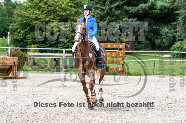 Late-Entry-Vielseitigkeit Langenfeld (06.+07.07.2020)