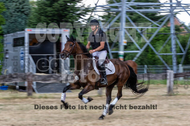Late-Entry Vielseitigkeit Hamminkeln/Wesel (01.+02.08.2020)