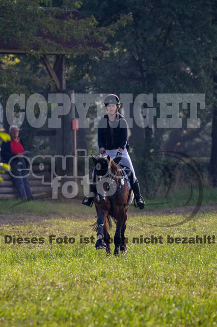 Late-Entry-Vielseitigkeit Gahlen (18.07.2020)