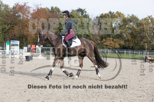 IGV Lehrgang der Sieger der Cups mit Frank Ostholt