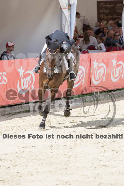FEI European Championship Eventing 2017
