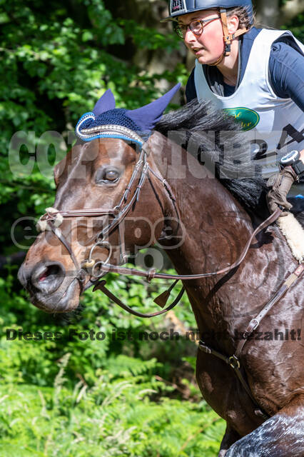 Westerstede Horse Trials 2021