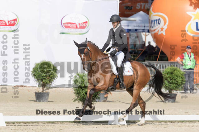 FEI European Championship Eventing 2017