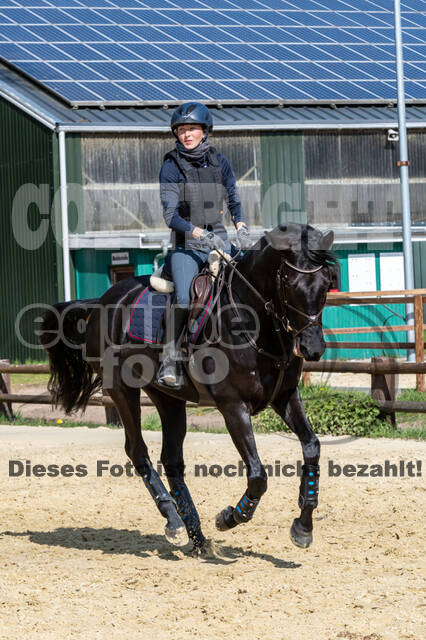 Geländetraining ZRFV Hamminkeln (24+25.04.2021)