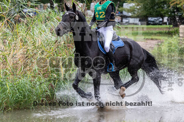 Vielseitigkeit RSV Wesel Obrighoven (26.+27.09.2020)