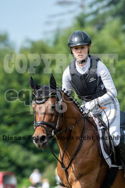 Goldene Schärpe 2021 - Ponys