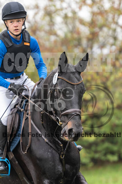 Goldene Schärpe 2020 - Pferde