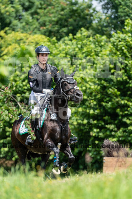 Goldene Schärpe 2021 - Ponys