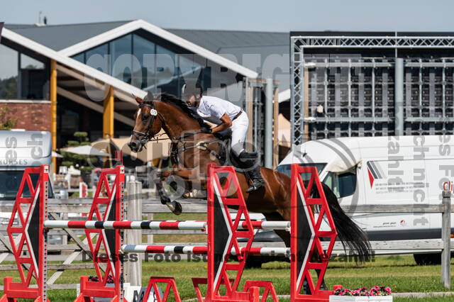 Kronenberg - De Peelbergen (August 2020)