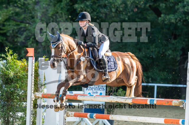 RFV Dinslaken-Hiesfeld (Herbstturnier)