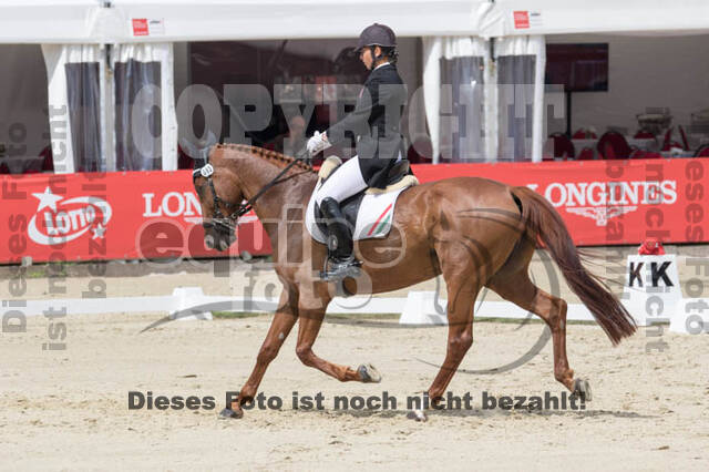 FEI European Championship Eventing 2017