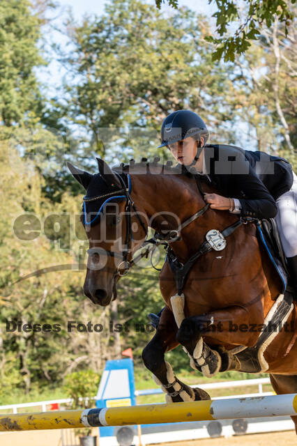 RFV Dinslaken-Hiesfeld (Herbstturnier)