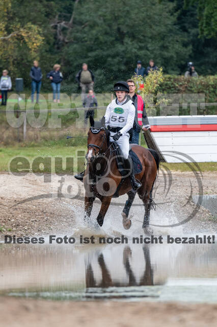 Deutsche Meisterschaft Vielseitigkeit (Luhmühlen)