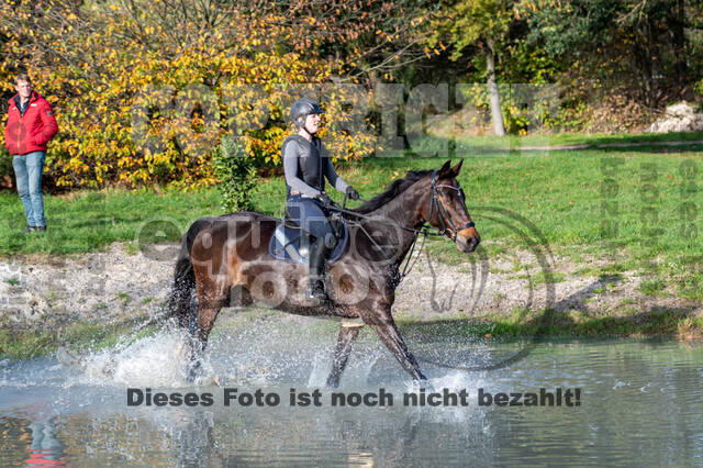 IGV Lehrgang der Sieger der Cups mit Frank Ostholt