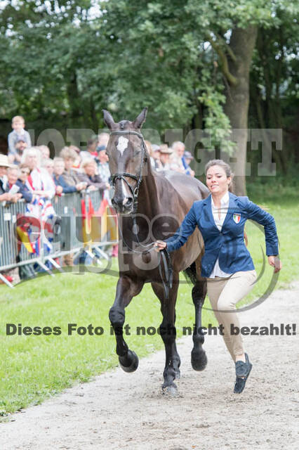 FEI European Championship