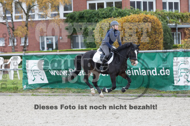 IGV Lehrgang der Sieger der Cups mit Frank Ostholt