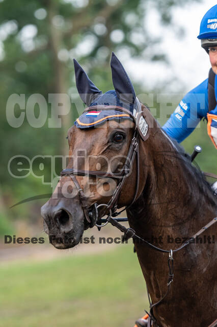 De Peelbergen (August 2020)