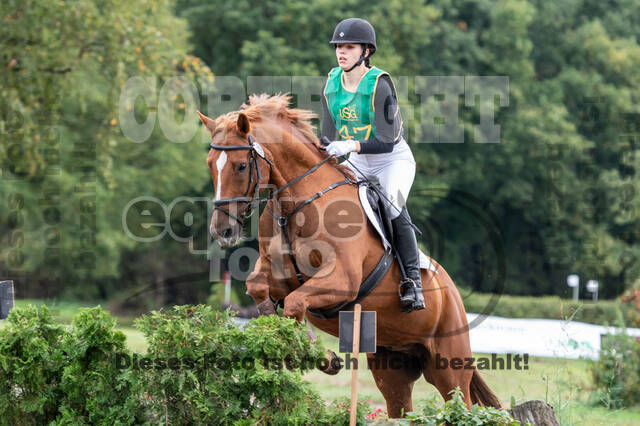 Vielseitigkeit RSV Wesel Obrighoven (26.+27.09.2020)