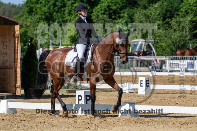 Westerstede Horse Trials 2021