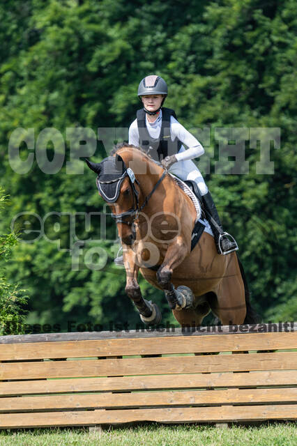 Goldene Schärpe 2021 - Ponys