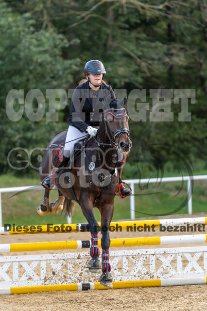 RFV Dinslaken-Hiesfeld (Herbstturnier)