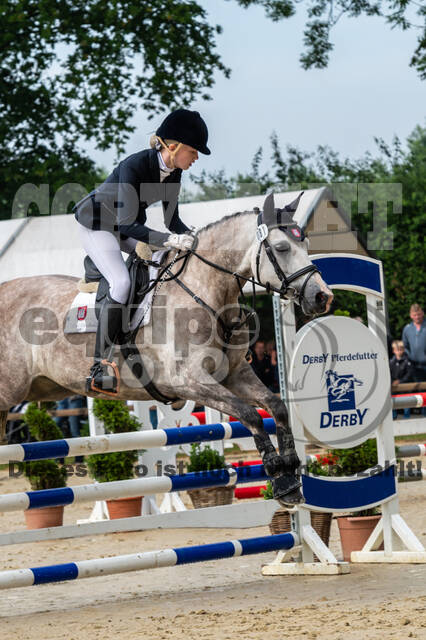 Goldene Schärpe 2021 - Ponys