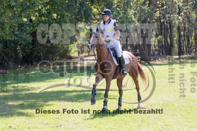 Vielseitigkeitsturnier RSV St. Hubertus Wesel Obrighoven