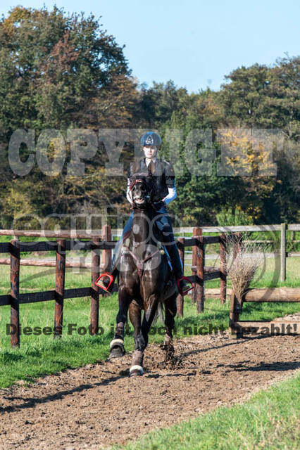 Vielseitigkeitslehrgang mit Jürg Kurbel (9.+10.11.2019)