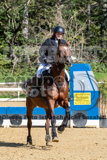 RFV Dinslaken-Hiesfeld (Herbstturnier)